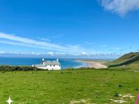 IM竞技-包含斯旺西城年轻新秀脱颖而出，成为关键人物的词条