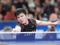 IM电竞官网-瑞典队逆转日本队，樊振东关键制胜的简单介绍