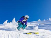 LOL-从篮网到世界，终结悬念的艺术与伦纳德的2026征途