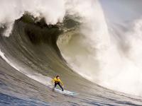 IM电竞APP-逆转与点燃，当法国铁骑遭遇葡萄牙坚盾，奥恰洛夫式激情跨越赛场边界