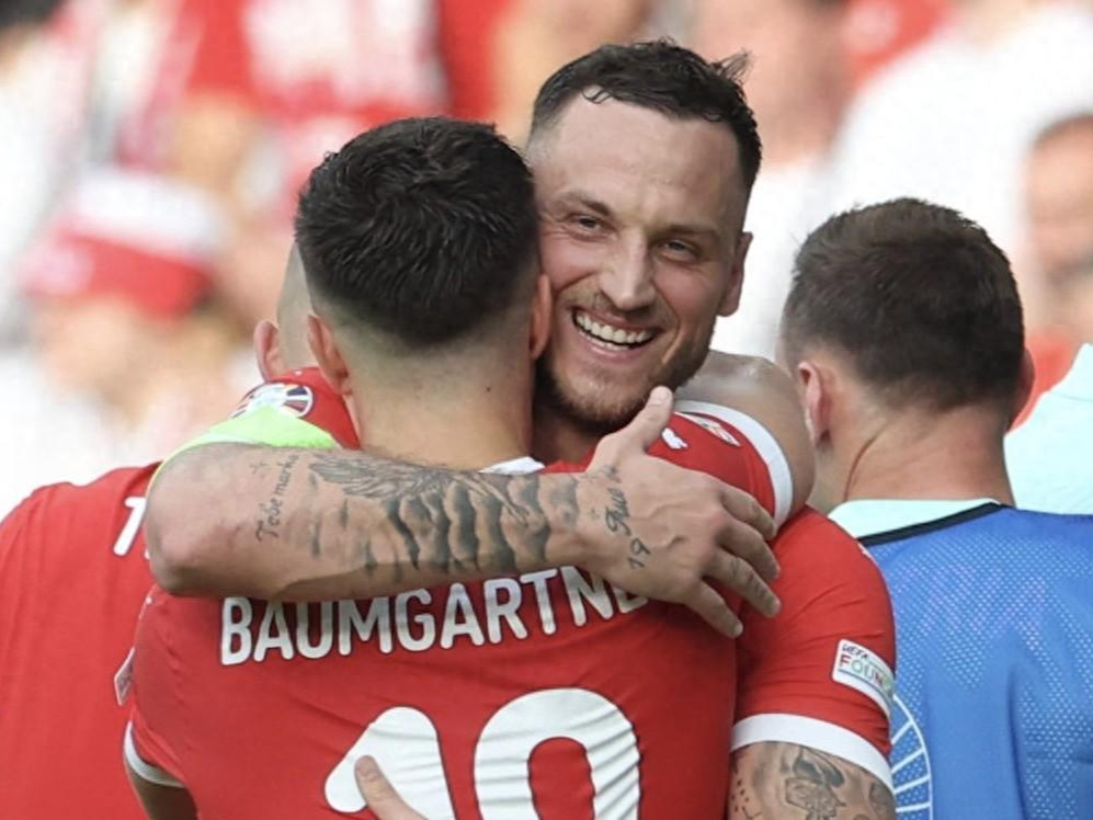 奥地利队完胜波兰队，王皓带队取胜